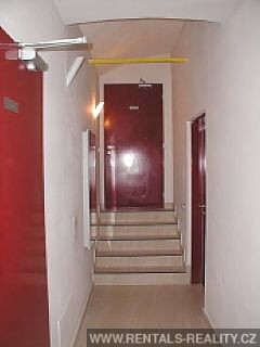 Pic 7