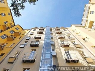 Pic 16