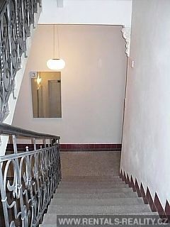 Pic 14
