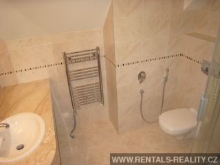 Pic 11
