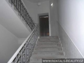 Pic 19