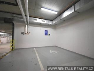 Pic 12