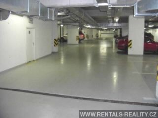 Pic 13
