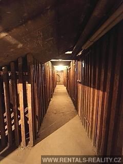 Pic 16