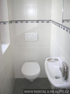 Pic 11