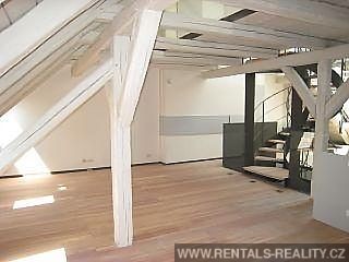 Pic 7