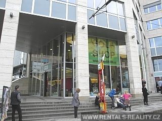 Pic 11