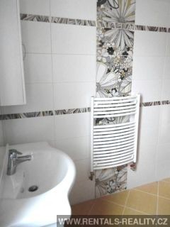 Pic 16