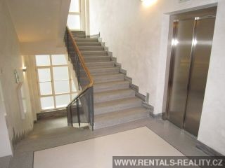 Pic 15