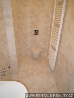 Pic 11