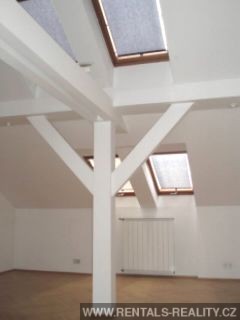 Pic 12