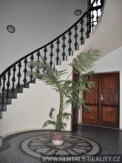 Pic 19