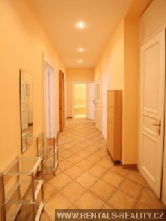 Pic 11