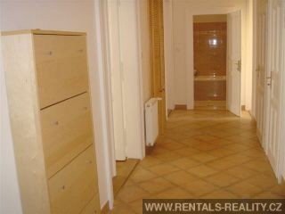 Pic 11