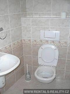 Pic 16