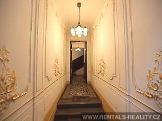 Pic 19