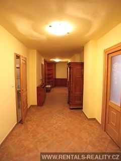 Pic 7