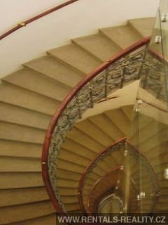 Pic 19