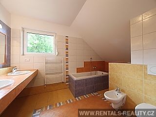 Pic 16