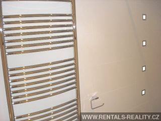 Pic 8