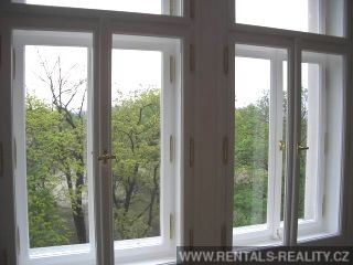Pic 9