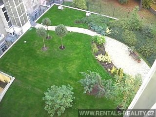 Pic 8