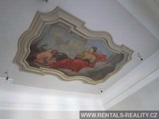 Pic 5