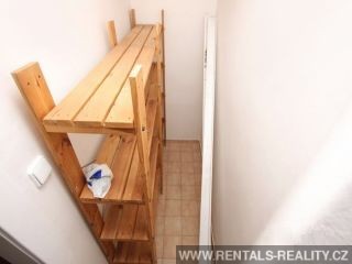 Pic 8