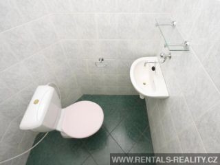 Pic 10