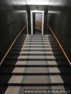 Pic 16