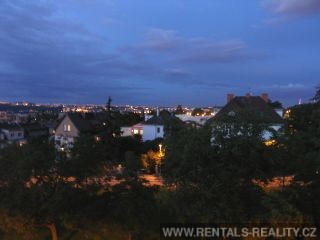 Pic 19