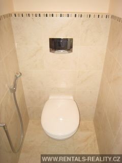 Pic 12
