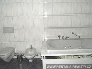 Pic 12