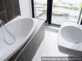 Pic 11