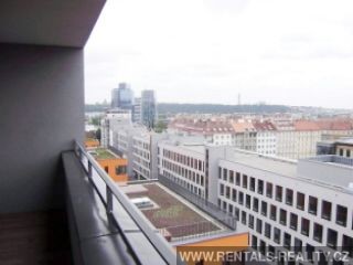 Pic 16