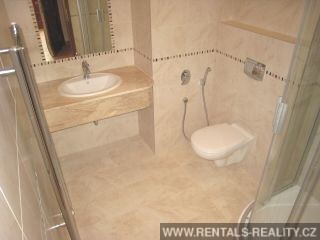 Pic 11