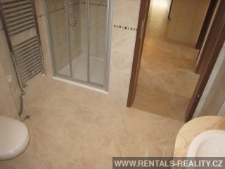 Pic 11