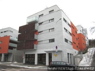 Pic 17