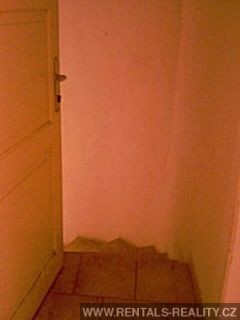Pic 5