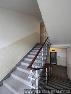 Pic 15