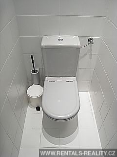 Pic 11