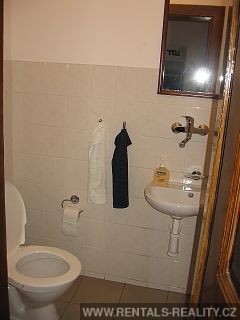 Pic 10