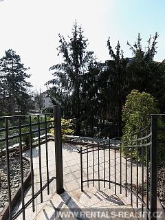 Pic 13