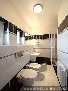 Pic 16