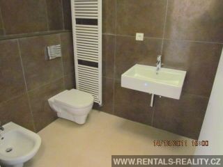 Pic 12