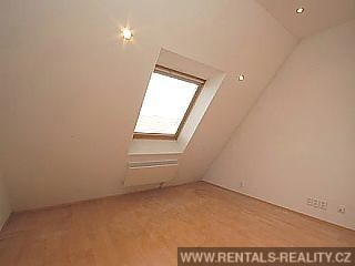 Pic 11