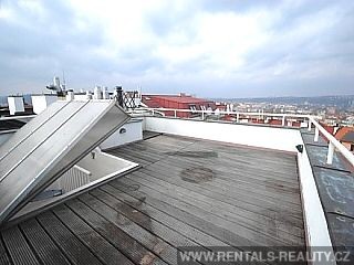 Pic 16