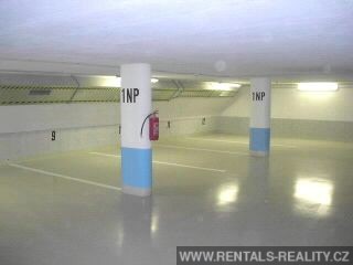Pic 16