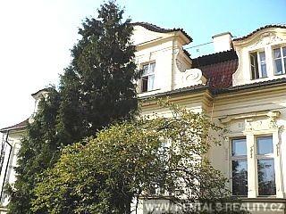 Pic 12