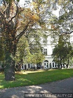 Pic 17